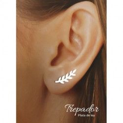 Trepador Hojas de Laurel en Plata de Ley 925mls
