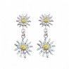 Pendientes de Flor Eguzkilore en Plata de Ley 925mls