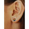 Pendientes de Corazón LGTBI Esmaltado a Color en Plata de Ley 925mls