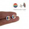 Pendientes de Disco LGTBI Esmaltado a Color en Plata de Ley 925mls