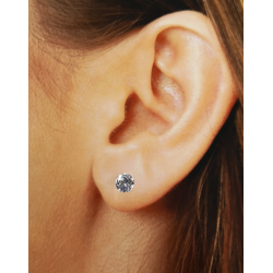 Pendiente Circonita de 6mm Engarzada en Plata de Ley 925mls