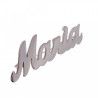 Broche con Nombre Personalizado en Plata de Ley 925mls