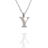 Collar con Inicial "Y" en Acero Plateado Liso Hipoalergénico 316l