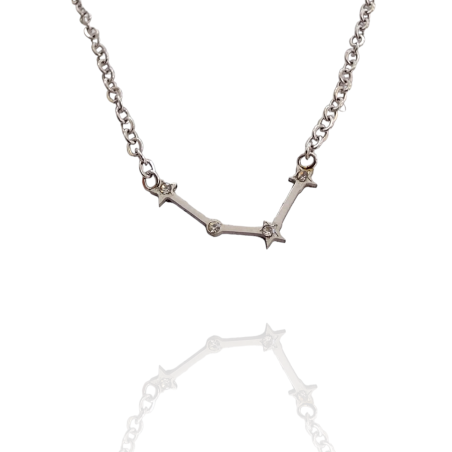 Collar con la Constelación de "Acuario" en Acero Plateado Circonitas