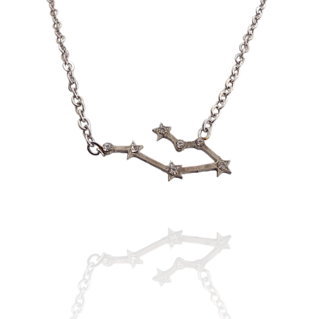 Collar con la Constelación de "Géminis" en Acero Plateado Circonitas
