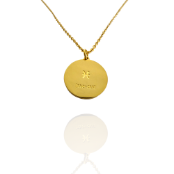 Collar Horóscopo de "Piscis" en Disco de Acero Dorado Liso