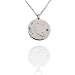 Collar Horóscopo de "Capricornio" en Disco de Acero Plateado Liso